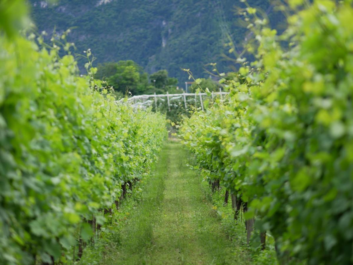 Agriturismo Casa Di Campagna Рива дел Гарда Екстериор снимка