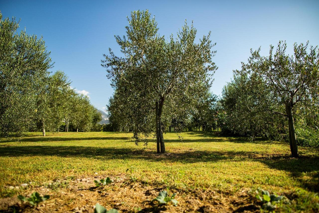 Agriturismo Casa Di Campagna Рива дел Гарда Екстериор снимка