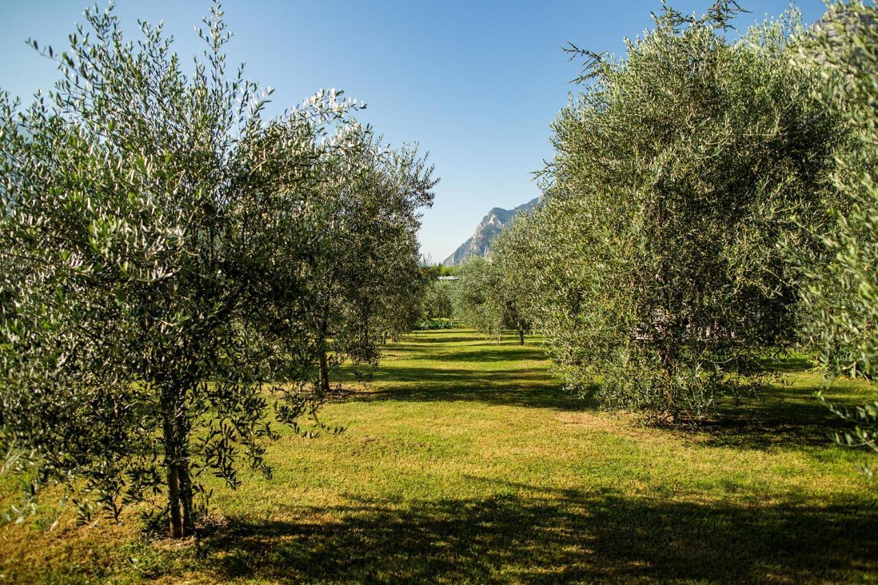 Agriturismo Casa Di Campagna Рива дел Гарда Екстериор снимка