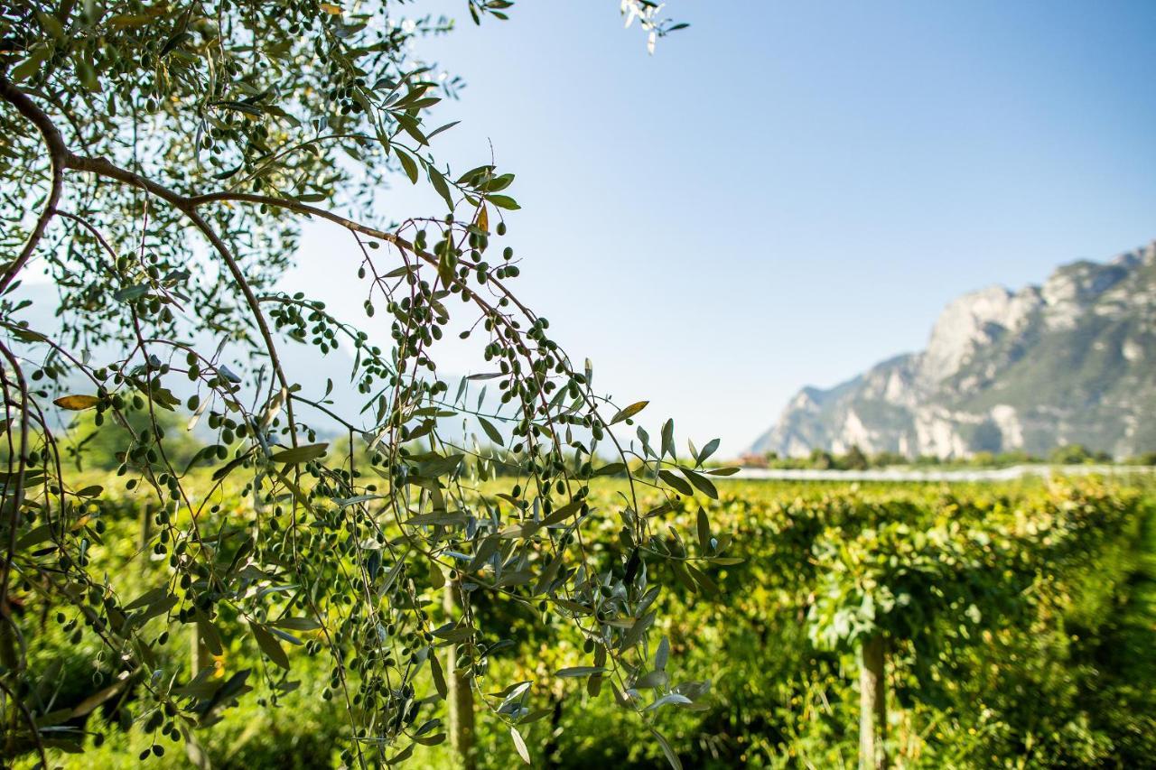 Agriturismo Casa Di Campagna Рива дел Гарда Екстериор снимка